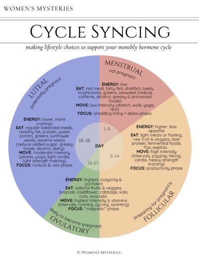 Cycle Syncing ebook